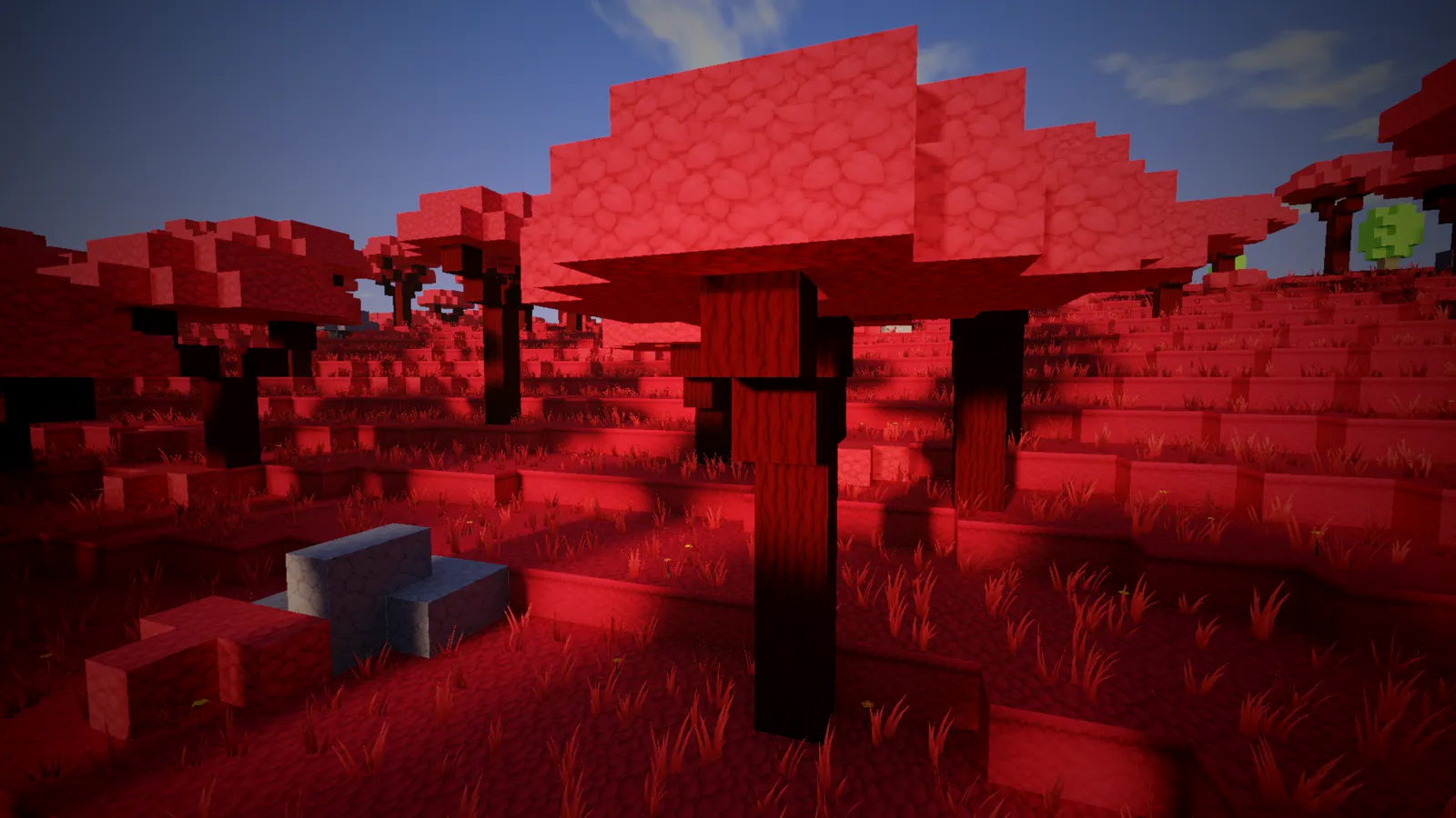 Afternoon sun through the red canopy of Emberwood